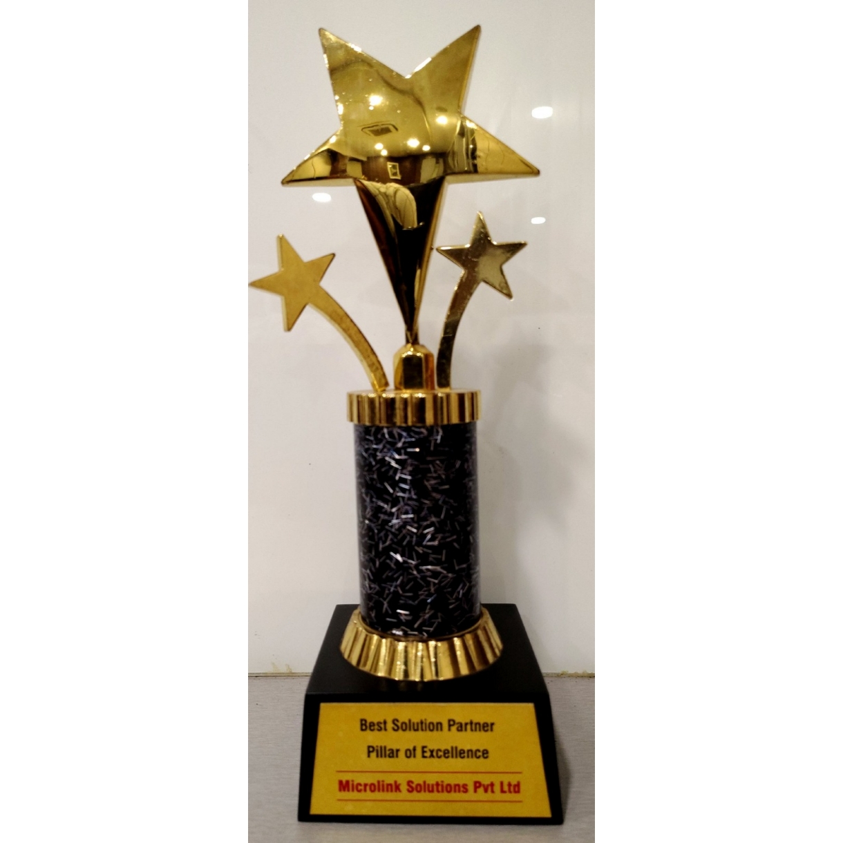 Pillar of Excellence - Best Solution Partner